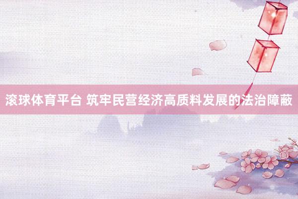 滚球体育平台 筑牢民营经济高质料发展的法治障蔽