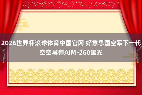 2026世界杯滚球体育中国官网 好意思国空军下一代空空导弹AIM-260曝光