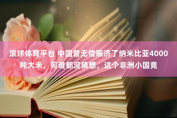 滚球体育平台 中国曾无偿赈济了纳米比亚4000吨大米，可谁都没猜想，这个非洲小国竟