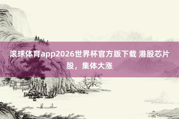 滚球体育app2026世界杯官方版下载 港股芯片股，集体大涨