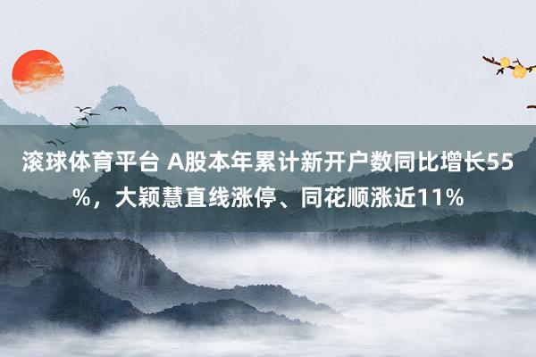滚球体育平台 A股本年累计新开户数同比增长55%，大颖慧直线涨停、同花顺涨近11%