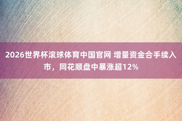 2026世界杯滚球体育中国官网 增量资金合手续入市，同花顺盘中暴涨超12%