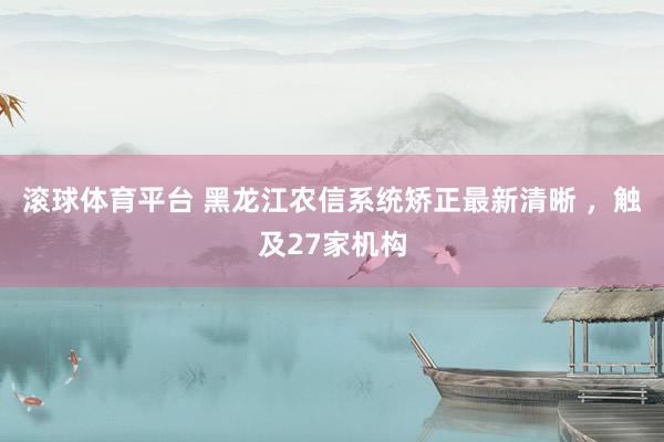 滚球体育平台 黑龙江农信系统矫正最新清晰 ，触及27家机构