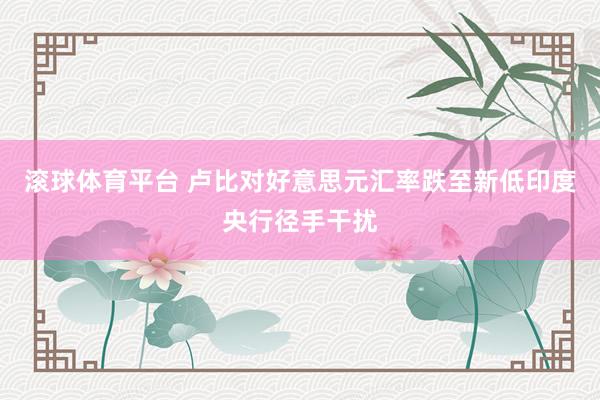 滚球体育平台 卢比对好意思元汇率跌至新低　印度央行径手干扰