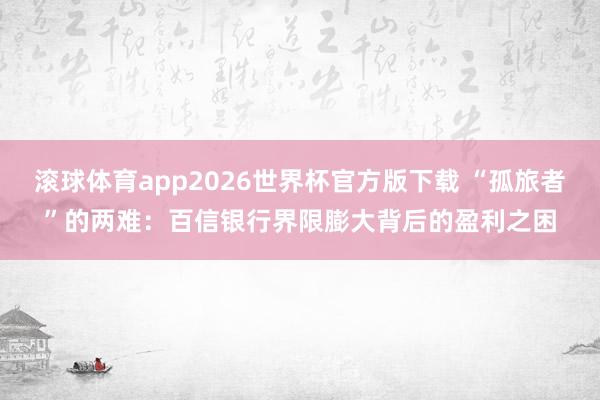 滚球体育app2026世界杯官方版下载 “孤旅者”的两难：百信银行界限膨大背后的盈利之困