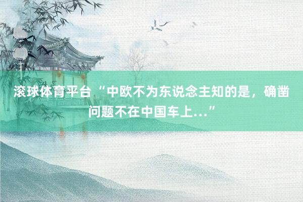 滚球体育平台 “中欧不为东说念主知的是，确凿问题不在中国车上…”