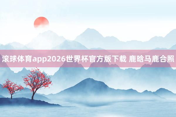 滚球体育app2026世界杯官方版下载 鹿晗马鹿合照