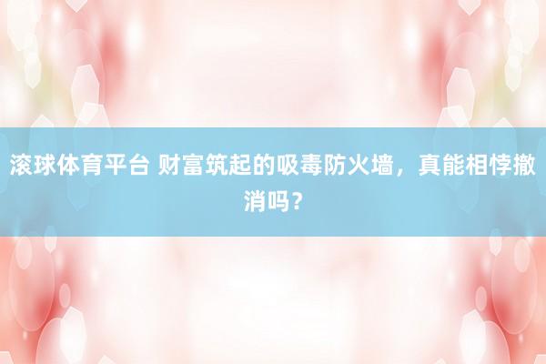 滚球体育平台 财富筑起的吸毒防火墙，真能相悖撤消吗？