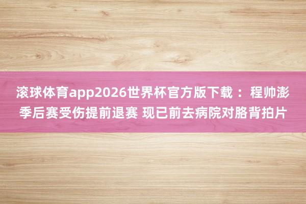 滚球体育app2026世界杯官方版下载 ：程帅澎季后赛受伤提前退赛 现已前去病院对胳背拍片