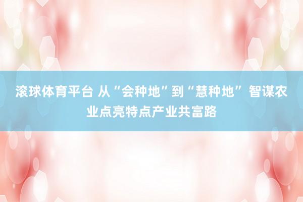 滚球体育平台 从“会种地”到“慧种地” 智谋农业点亮特点产业共富路