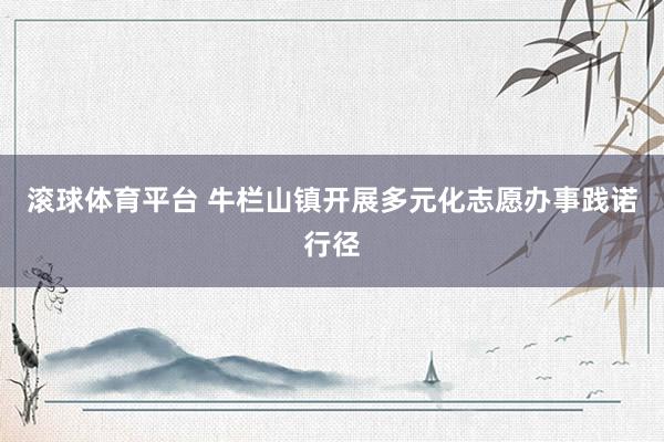 滚球体育平台 牛栏山镇开展多元化志愿办事践诺行径