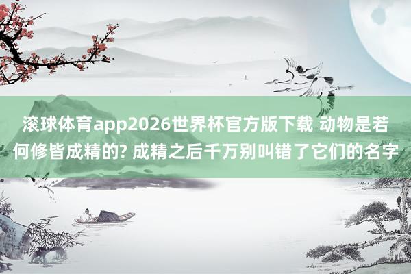 滚球体育app2026世界杯官方版下载 动物是若何修皆成精的? 成精之后千万别叫错了它们的名字