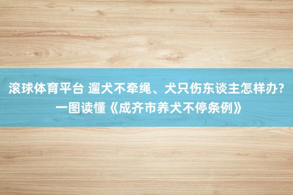 滚球体育平台 遛犬不牵绳、犬只伤东谈主怎样办? 一图读懂《成齐市养犬不停条例》