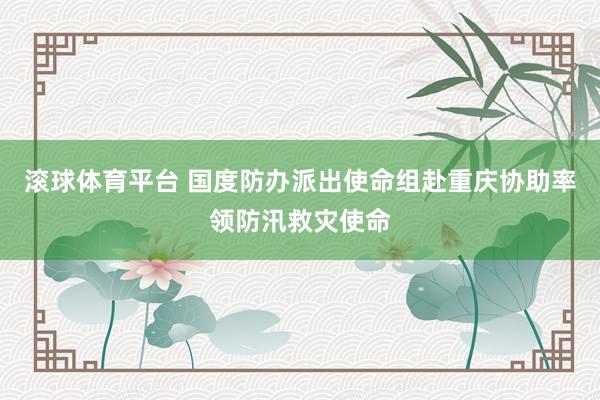 滚球体育平台 国度防办派出使命组赴重庆协助率领防汛救灾使命