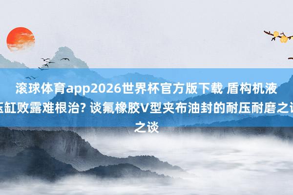 滚球体育app2026世界杯官方版下载 盾构机液压缸败露难根治? 谈氟橡胶V型夹布油封的耐压耐磨之谈