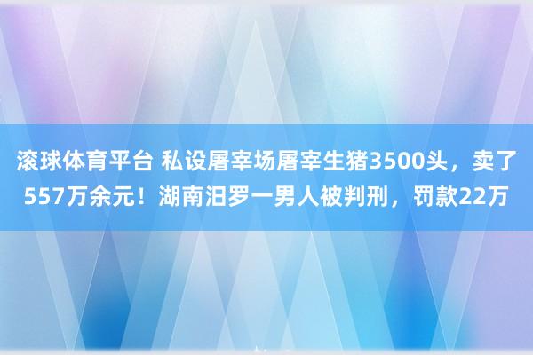 滚球体育平台 私设屠宰场屠宰生猪3500头，卖了557万余元！湖南汨罗一男人被判刑，罚款22万