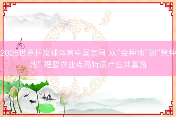 2026世界杯滚球体育中国官网 从“会种地”到“慧种地” 理智农业点亮特质产业共富路