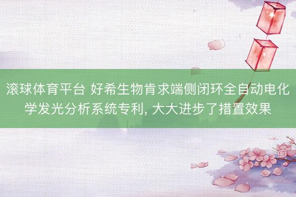 滚球体育平台 好希生物肯求端侧闭环全自动电化学发光分析系统专利， 大大进步了措置效果
