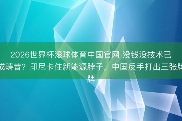 2026世界杯滚球体育中国官网 没钱没技术已成畴昔?印尼卡住新能源脖子,中国反手打出三张牌